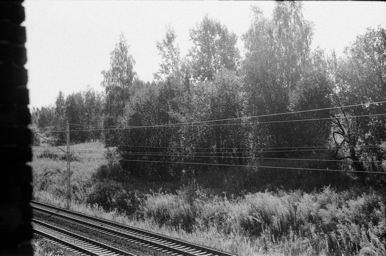 000419590019