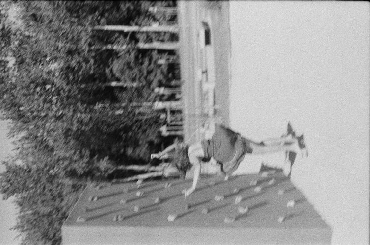 000419610026