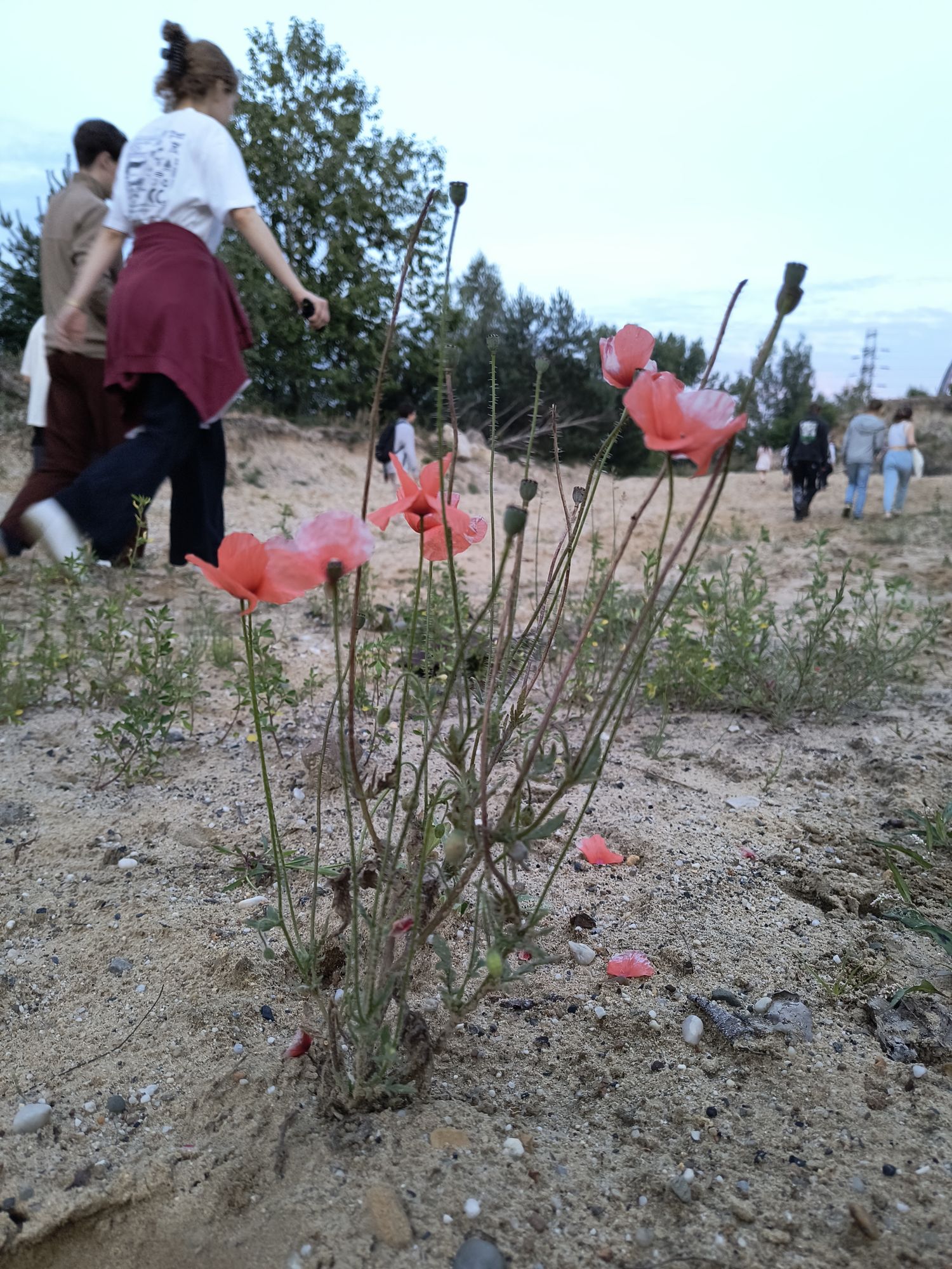 Img 20250725 203500412