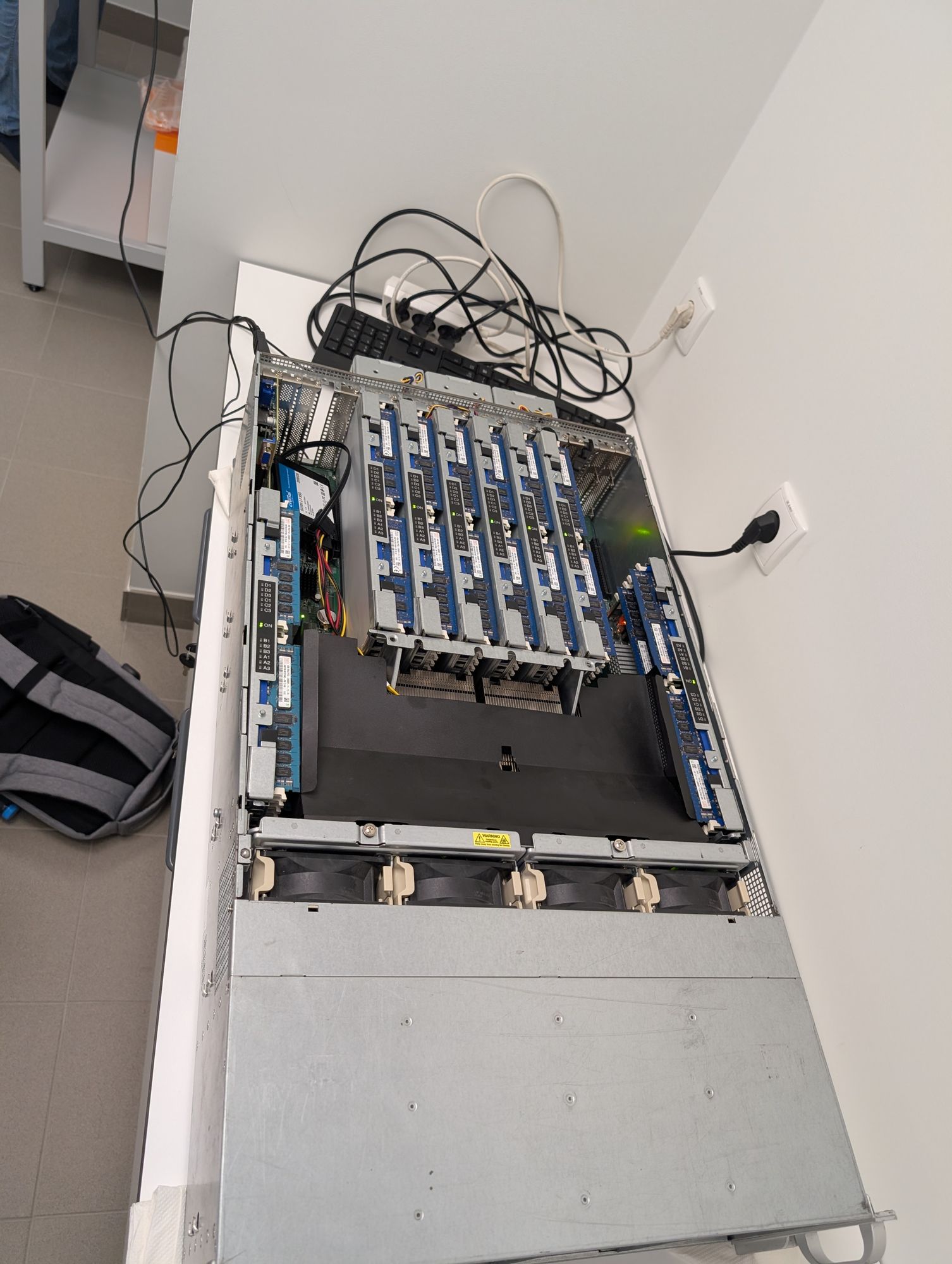 Pxl 20250724 083331016