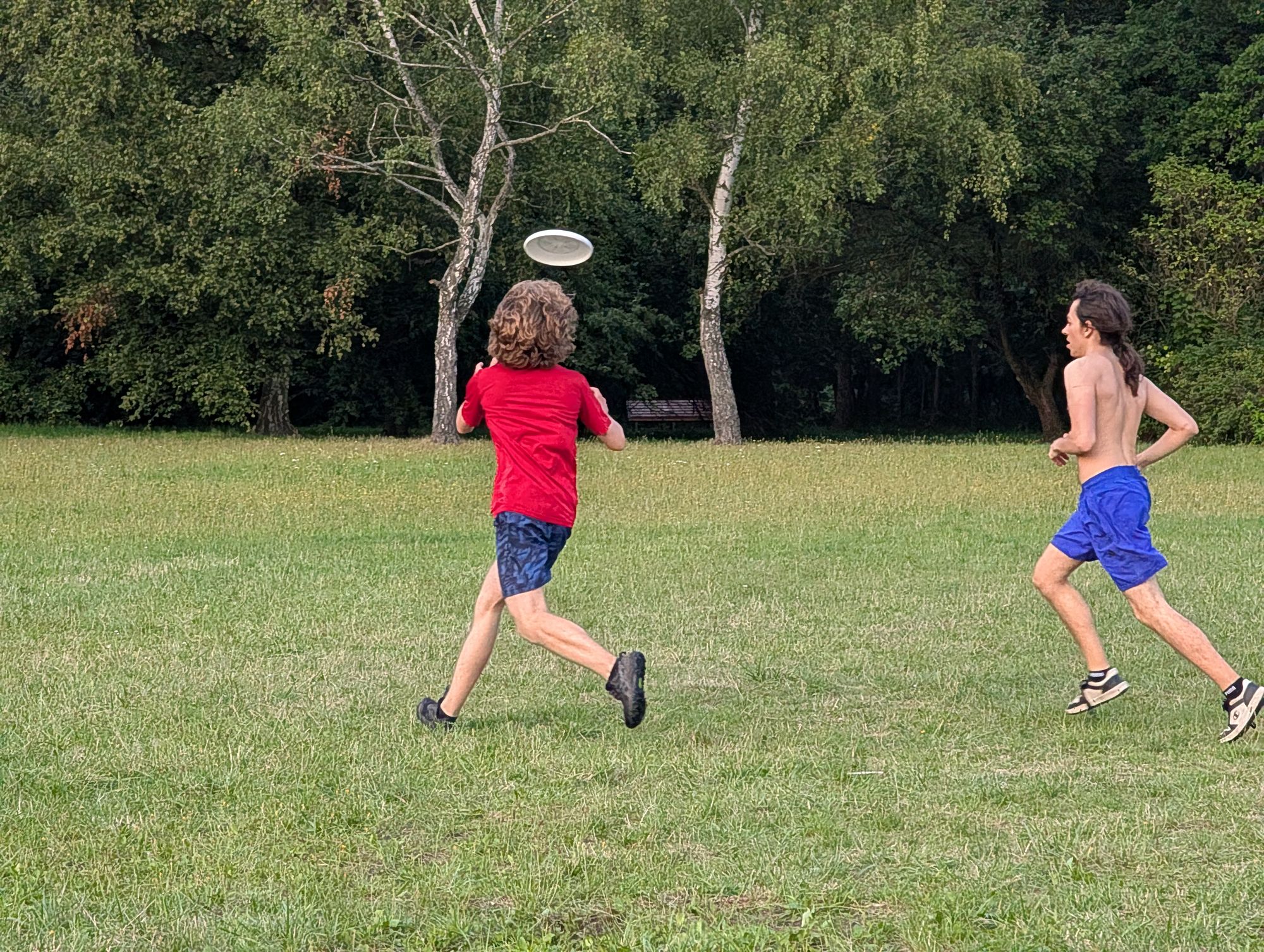 Pxl 20250729 180111902