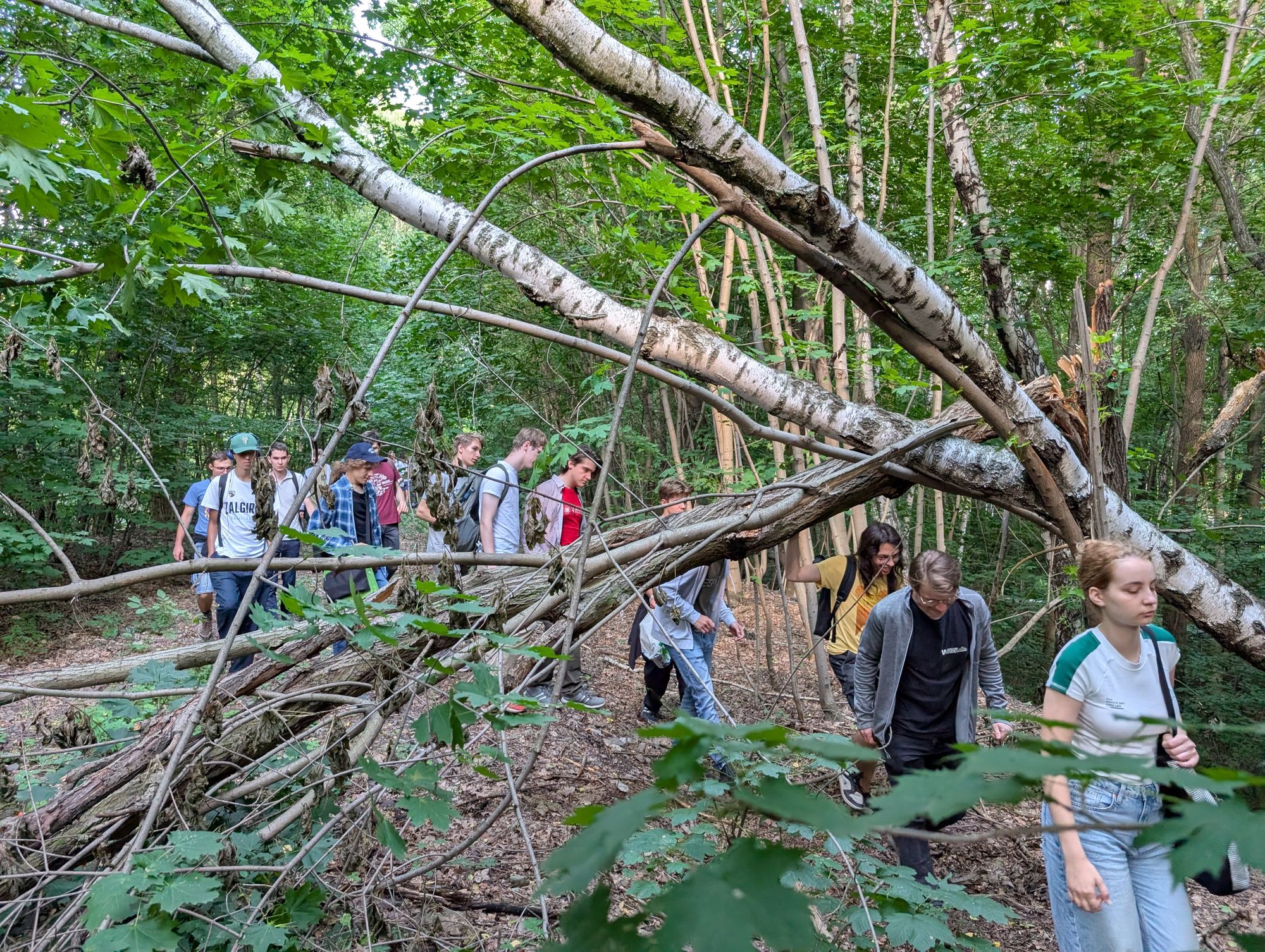 Pxl 20250730 151827693