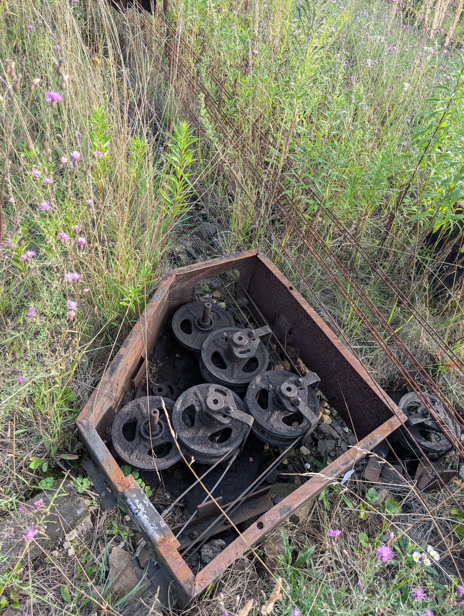 Pxl 20250730 154543690